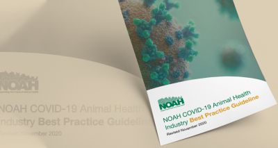 NOAH updates COVID-19 Animal Health Industry Guideline